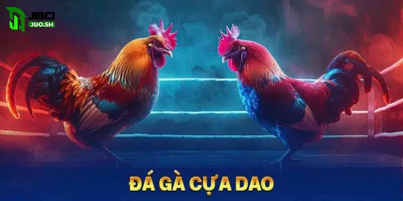 Sự đa dạng về giống linh kê Đá Gà Cựa Dao JBO
