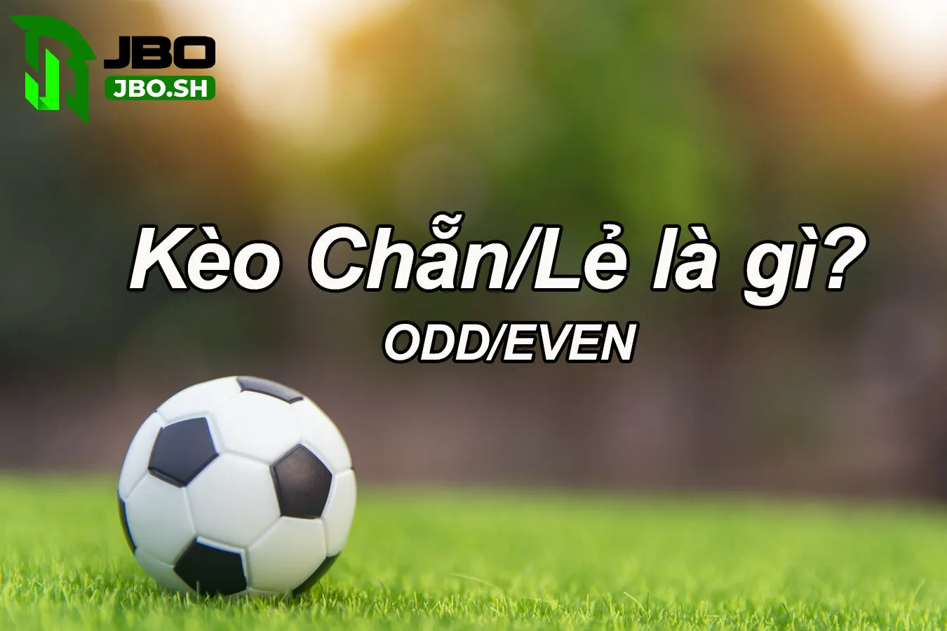 Khái niệm Kèo chẵn lẻ 