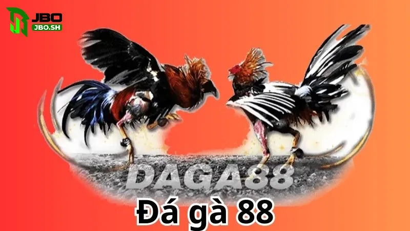 Đá gà 88 - Sự vươn mình mạnh mẽ của thể loại đá gà